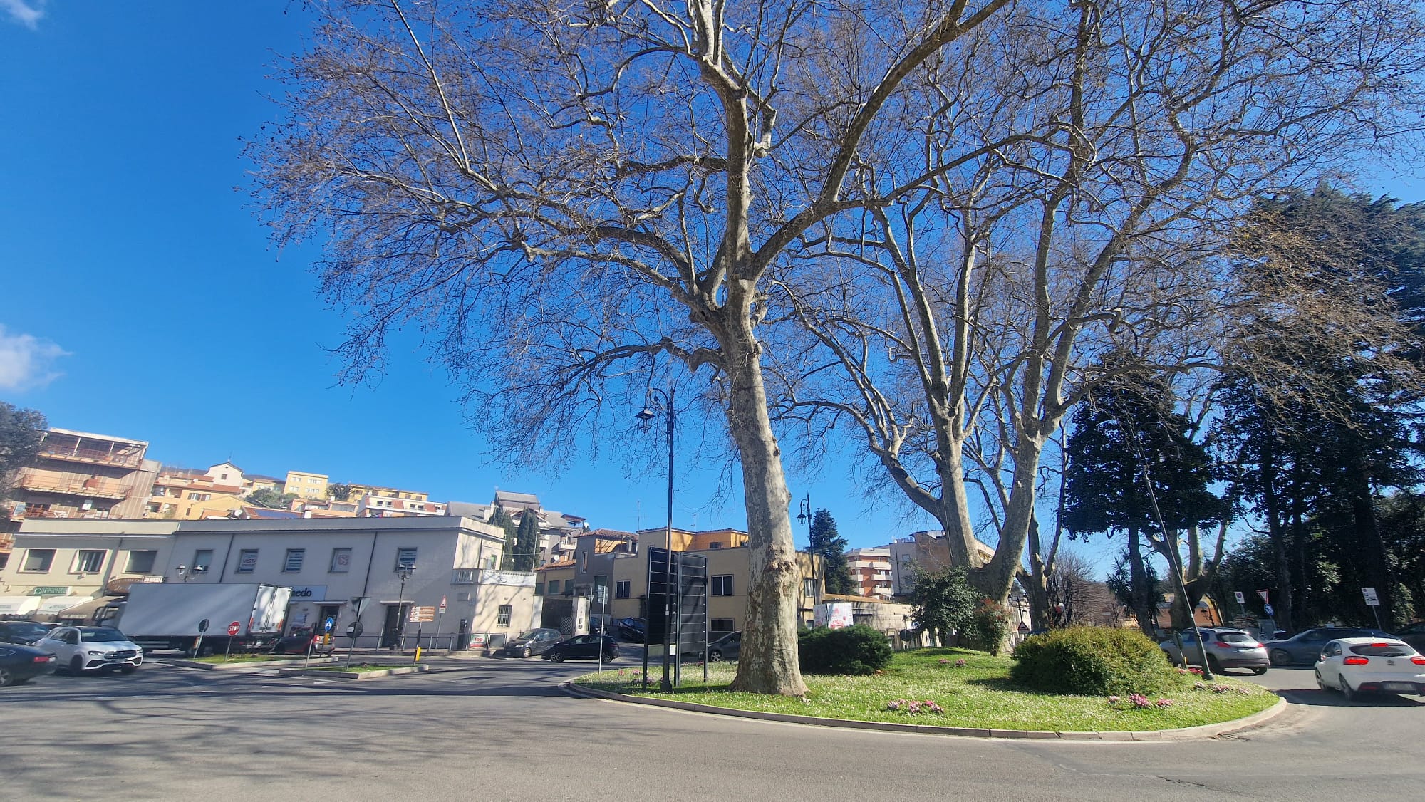 Immagine WhatsApp 2025-03-18 ore 16.34.31_37552326